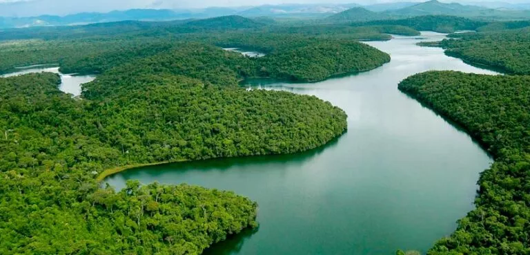 Supressão de Vegetação da Mata Atlântica