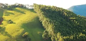 Projeto de recuperação de Área Degradada